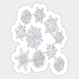 Snowflake Pattern Sticker